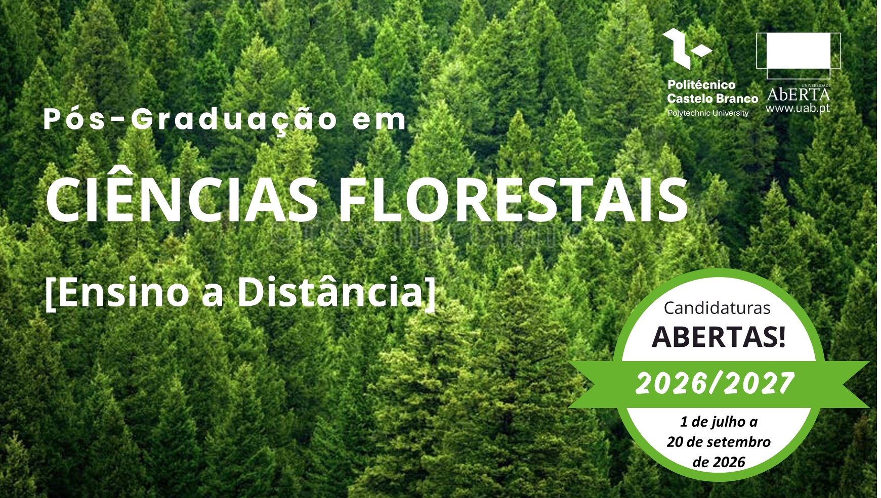 Destaque-2