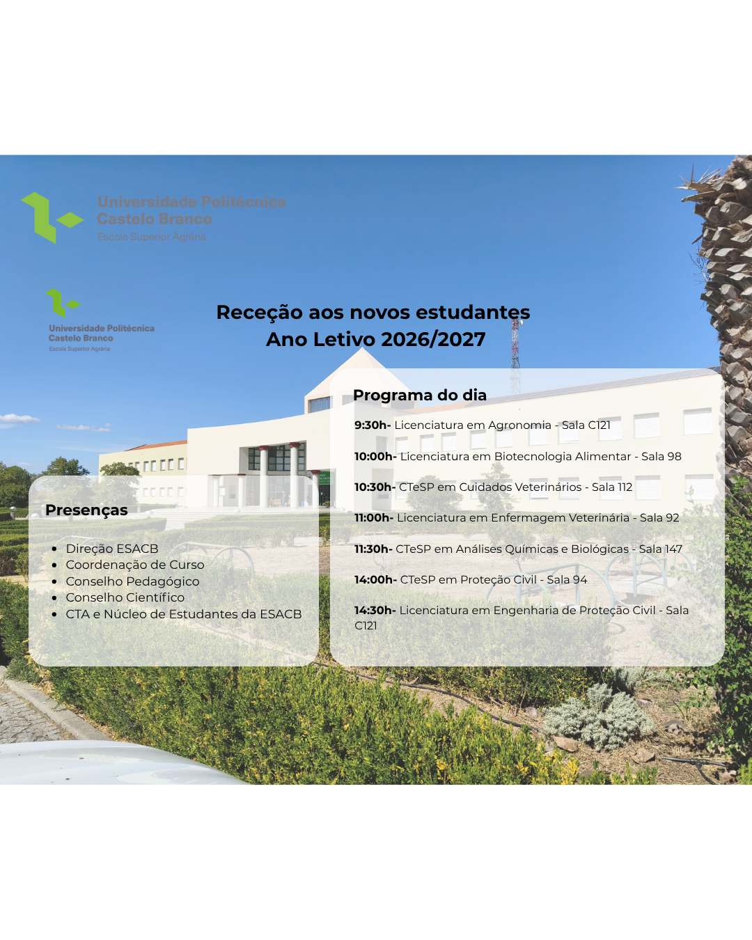 Destaque-1