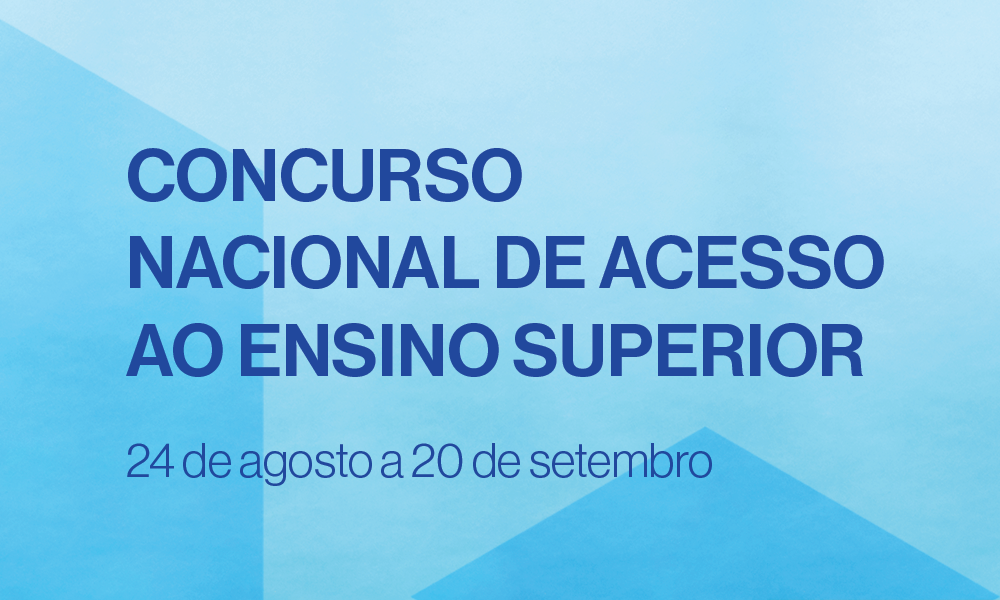 Destaque-3