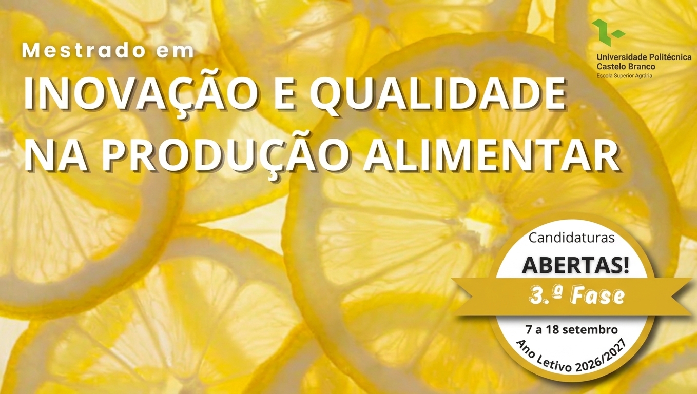 Destaque-4